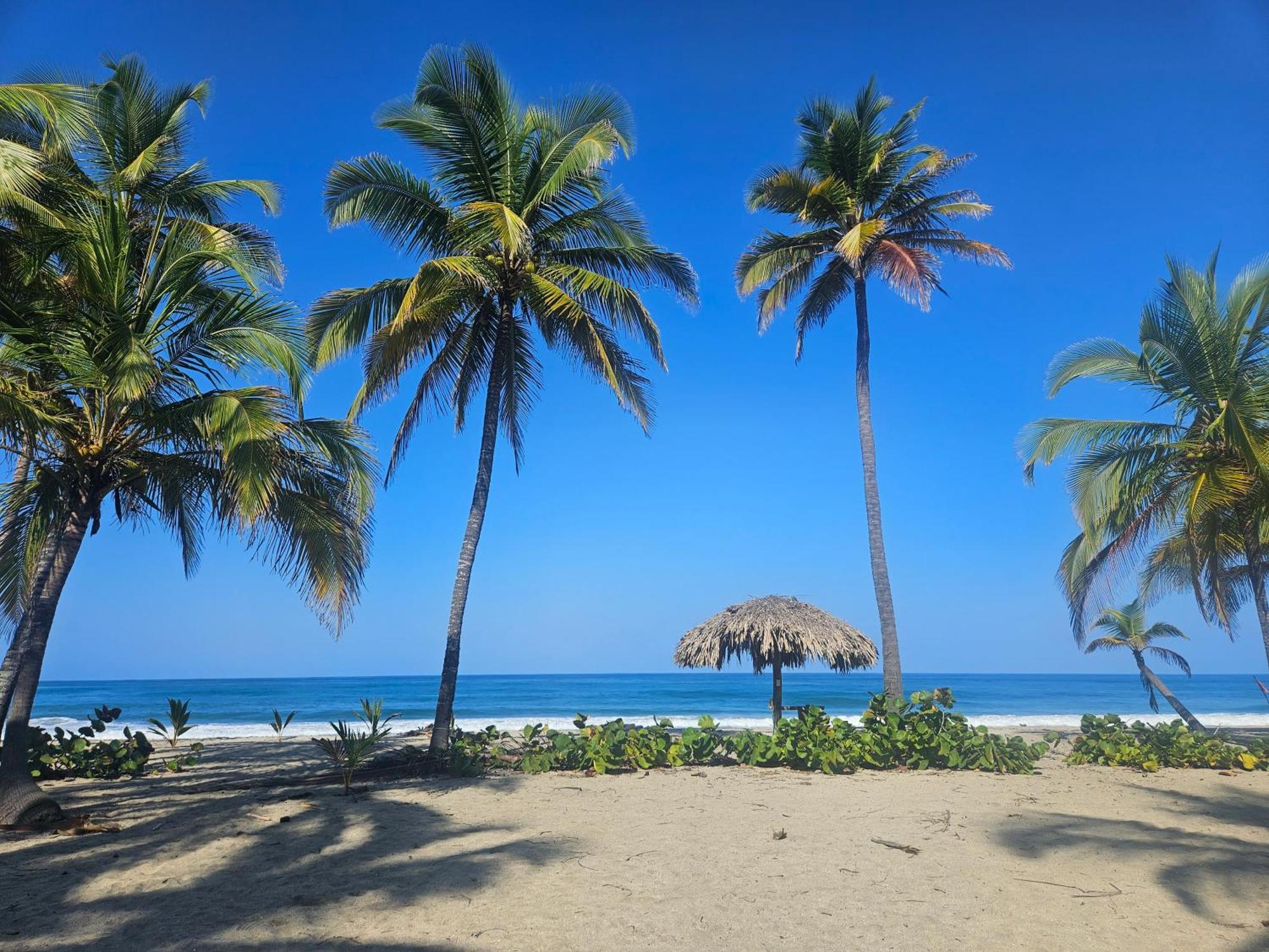 شقة Natyva House Guachaca المظهر الخارجي الصورة